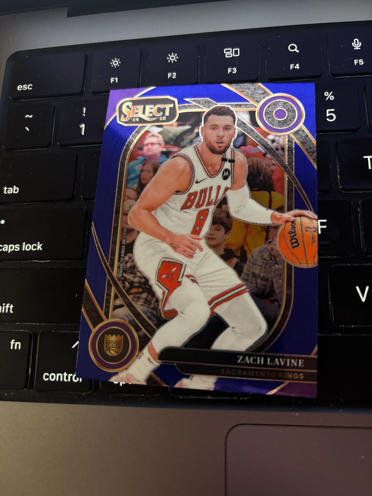 Zach LaVine [Blue] #249