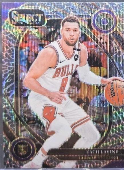 Zach LaVine [Elephant Prizm] #249