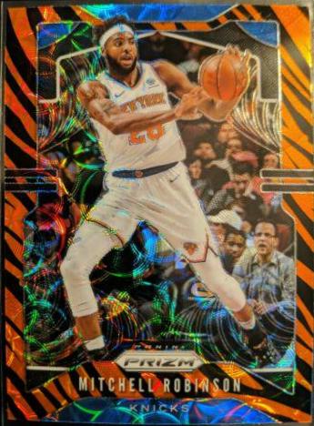Mitchell Robinson [Tiger Stripe] #178