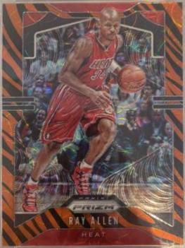 Ray Allen [Tiger Stripe] #22
