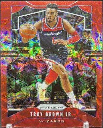 Troy Brown Jr. [Choice Prizm Red] #196