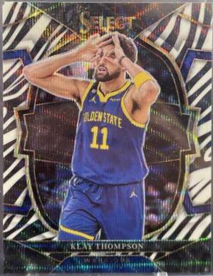 Klay Thompson [Zebra] #19