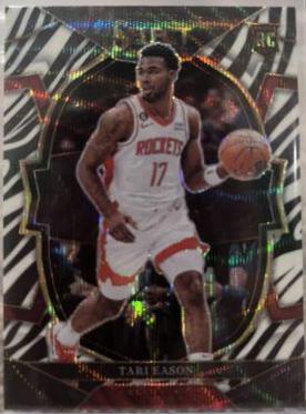 Tari Eason [Zebra] #82