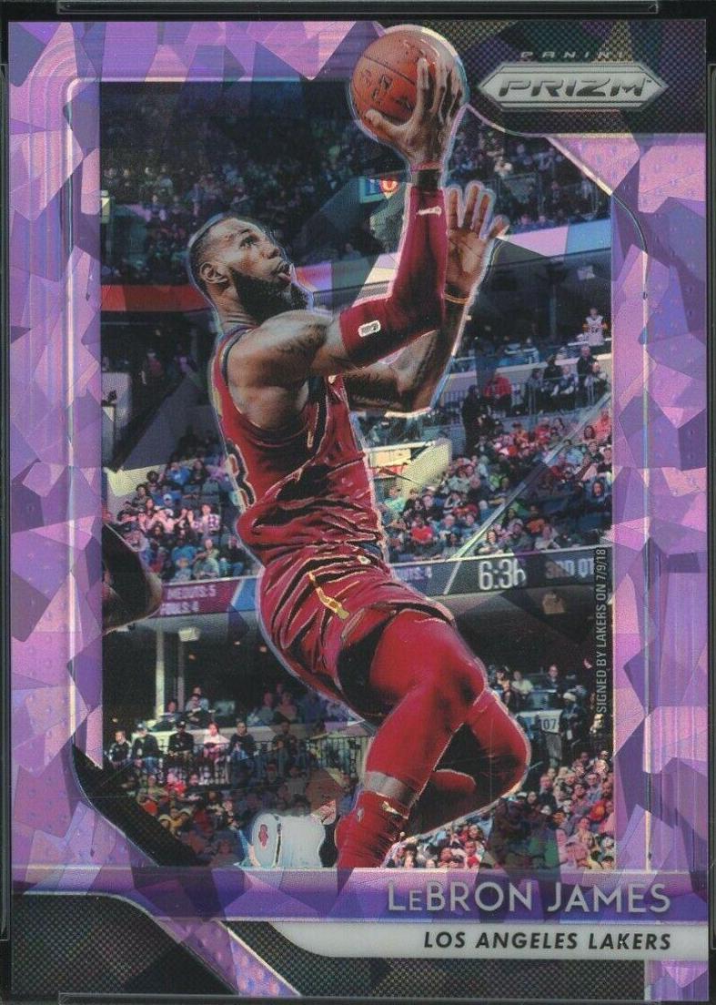 LeBron James [Purple Ice] #6