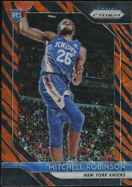 Mitchell Robinson [Tiger Stripe] #227