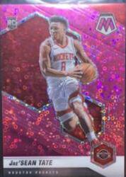 Jae'Sean Tate [Fast Break Pink] #214