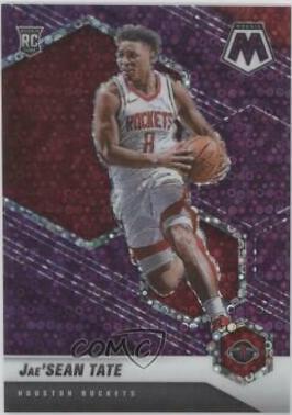 Jae'Sean Tate [Fast Break Purple] #214