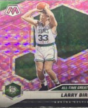 Larry Bird [Camo Pink] #295
