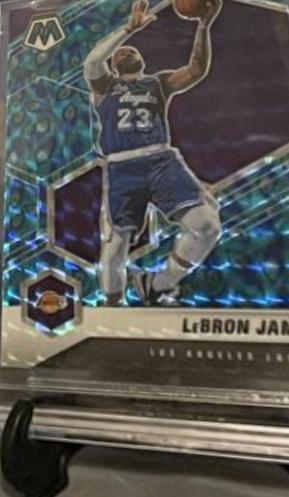 LeBron James [Peacock Choice] #297