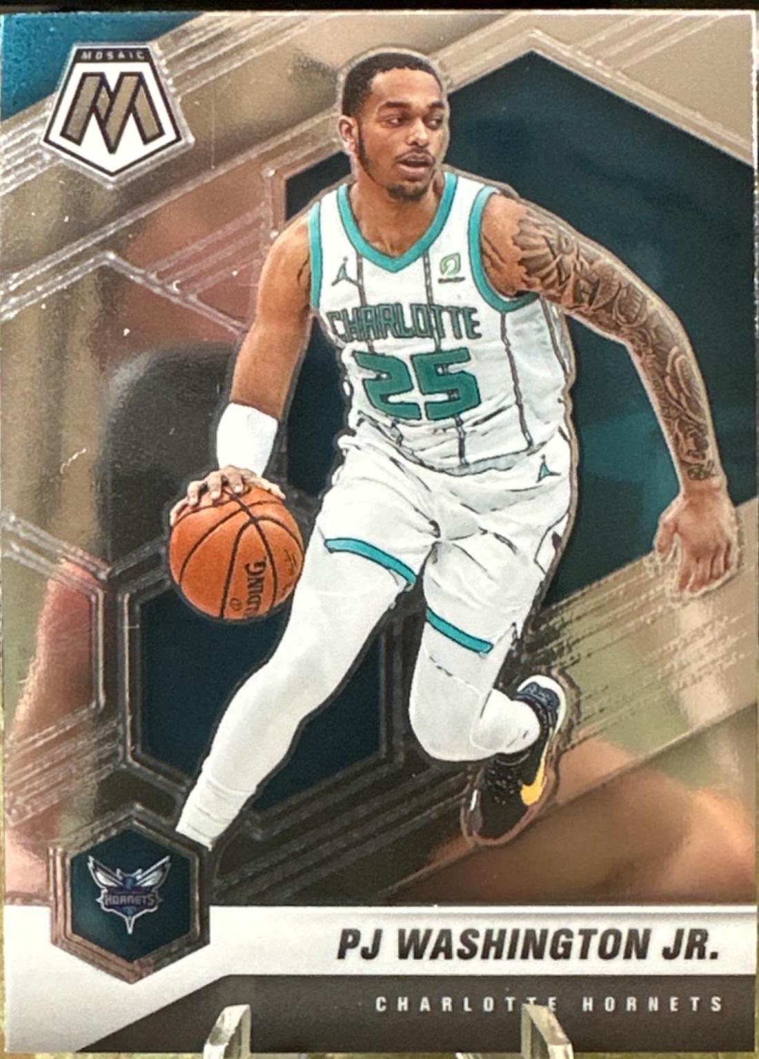 PJ Washington Jr. #27