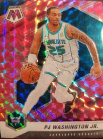 PJ Washington Jr. [Camo Pink] #27