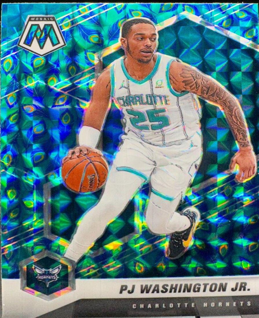 PJ Washington Jr. [Peacock Choice] #27