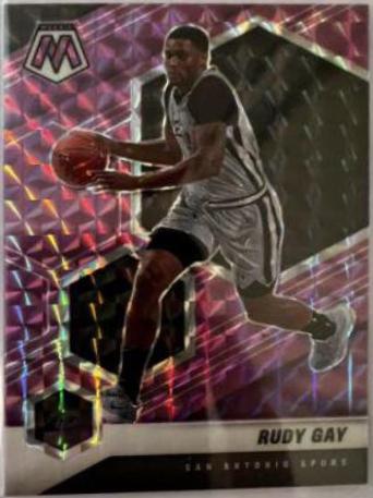 Rudy Gay #160