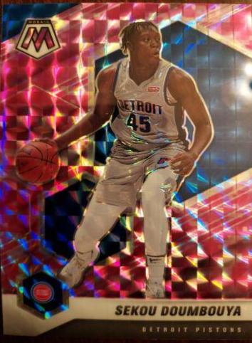 Sekou Doumbouya [Camo Pink] #89