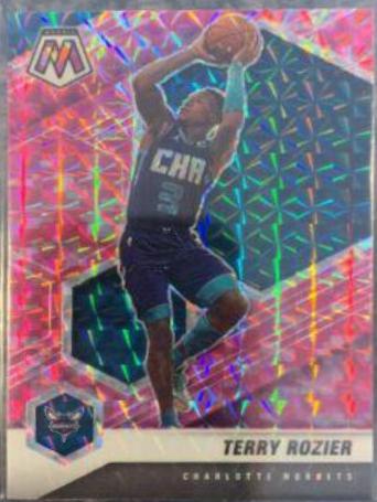 Terry Rozier [Camo Pink] #76