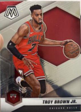 Troy Brown Jr. #11