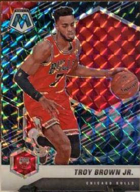 Troy Brown Jr. [Genesis] #11