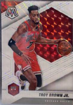 Troy Brown Jr. [White Mosaic] #11
