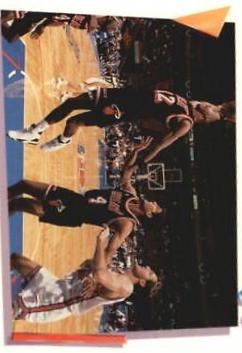 Miami Heat #418
