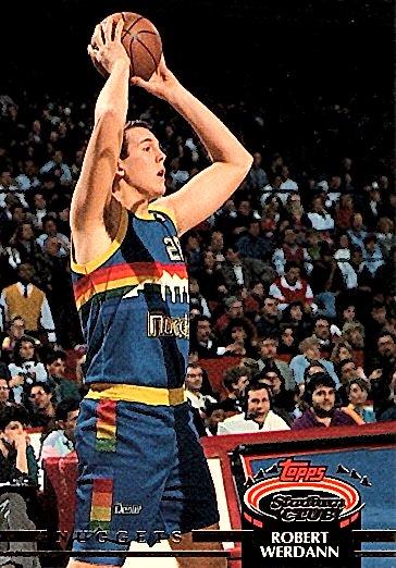 Robert Werdann #363
