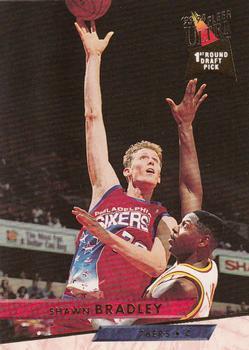 Shawn Bradley #310