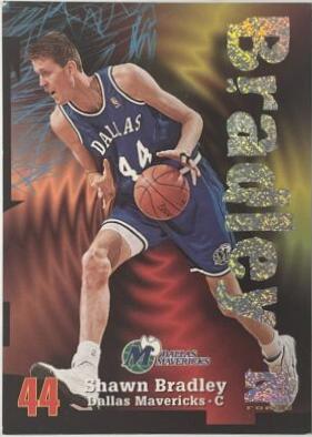 Shawn Bradley [Rave] #76