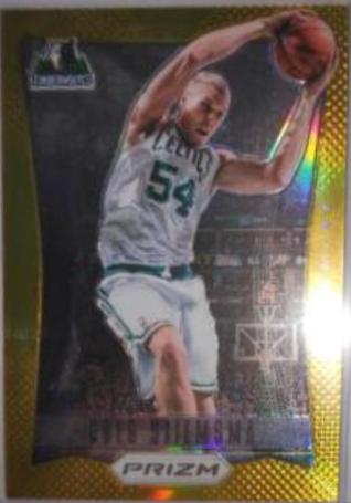 Greg Stiemsma [Gold Prizm] #300