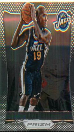 Raja Bell #126