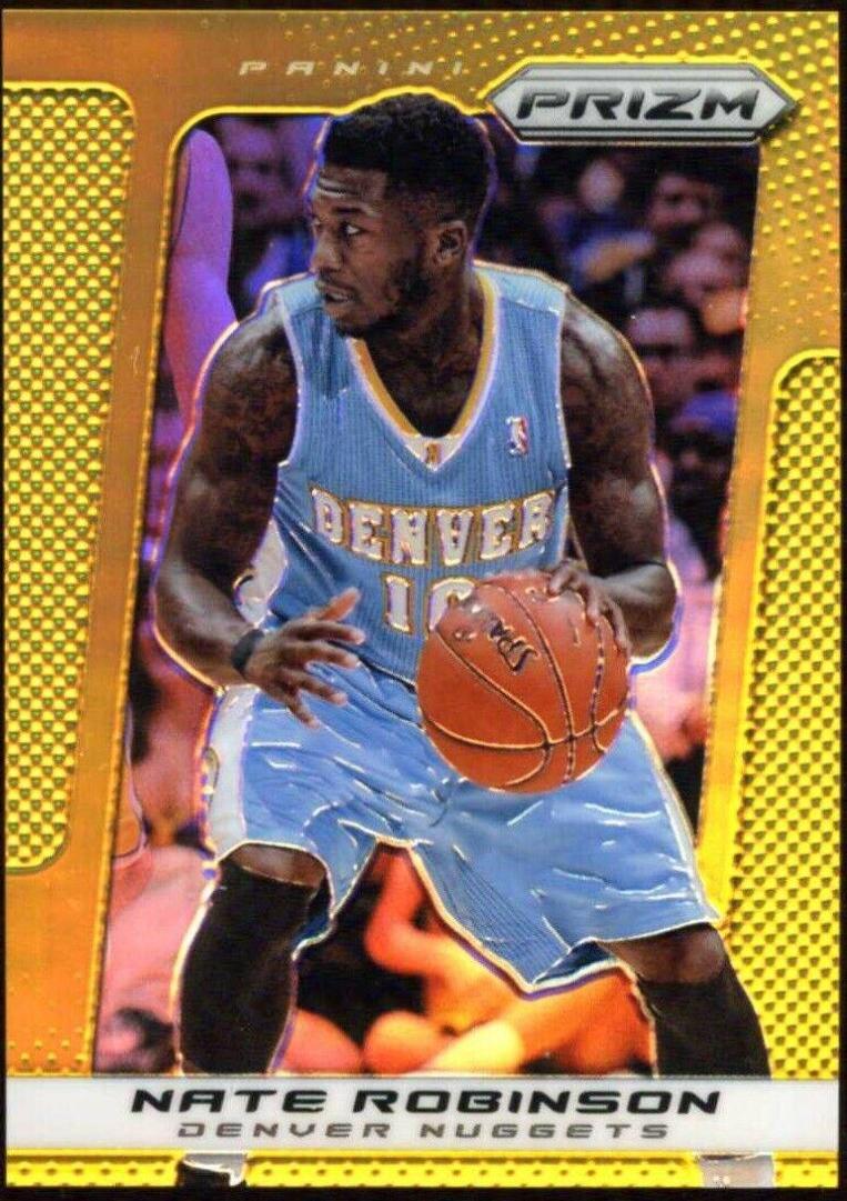 Nate Robinson Gold Prizm #10