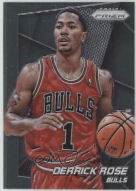 Derrick Rose #101