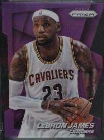 LeBron James [Purple Die Cut Prizm] #48