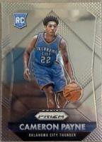 Cameron Payne #312