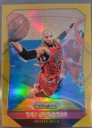 Taj Gibson [Gold Prizm] #193