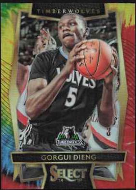 Gorgui Dieng [Tie Dye Prizm] #13
