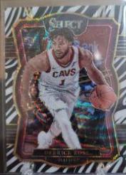 Derrick Rose [Zebra Prizm] #105