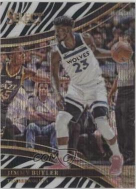 Jimmy Butler [Zebra Prizm] #263