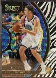 Klay Thompson [Zebra Prizm] #66