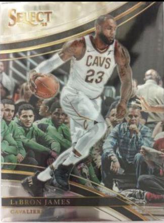 LeBron James #222