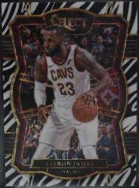 LeBron James [Zebra Prizm] #122