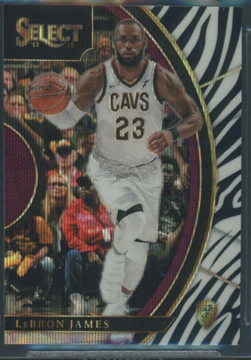 LeBron James [Zebra Prizm] #18