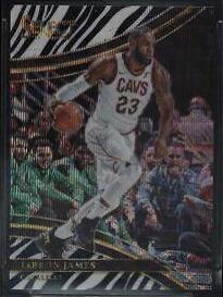 LeBron James [Zebra Prizm] #222