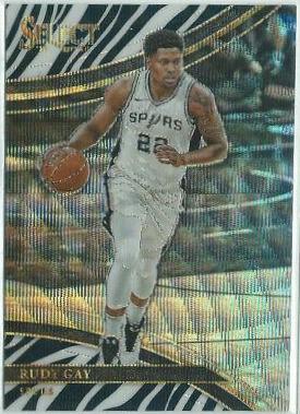 Rudy Gay [Zebra Prizm] #248