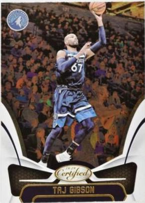 Taj Gibson #132