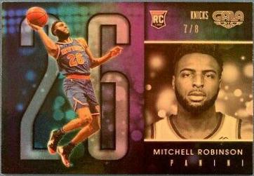 Mitchell Robinson #420
