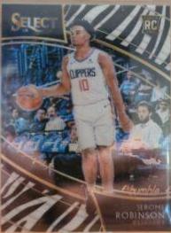Jerome Robinson [Zebra Prizm] #221