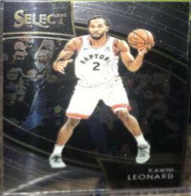 Kawhi Leonard #287