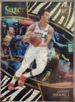 Landry Shamet [Zebra Prizm] #253