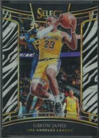 LeBron James [Zebra Prizm] #11