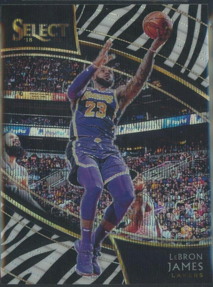LeBron James [Zebra Prizm] #215