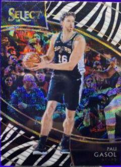 Pau Gasol [Zebra Prizm] #264
